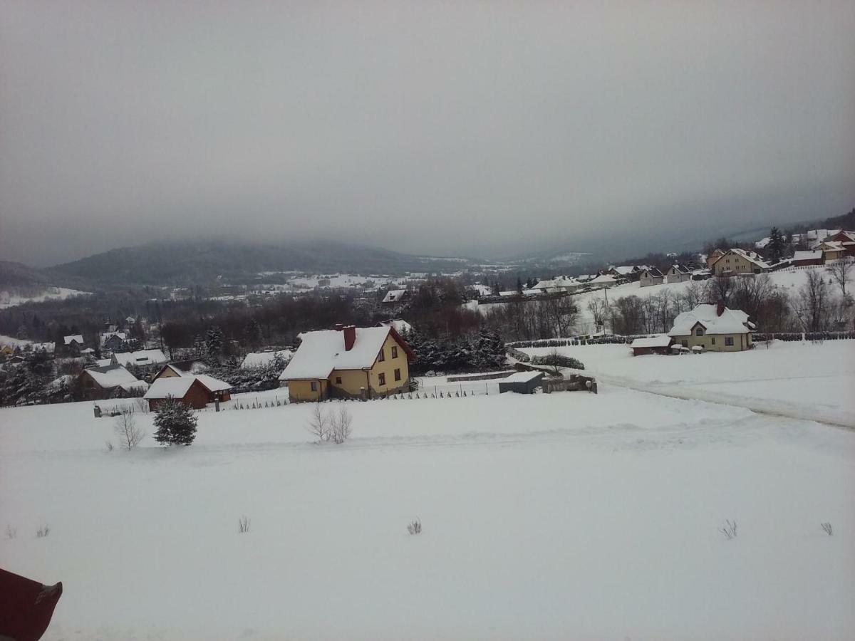 Pokoje Panorama Wysowa-Zdrój Extérieur photo